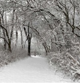 SnowKnightLegend