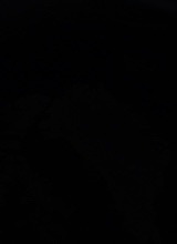 Guest_Kj75574