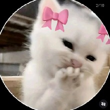 Guest_tartdartmouthgre5aa1
