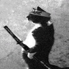 Ghost44566