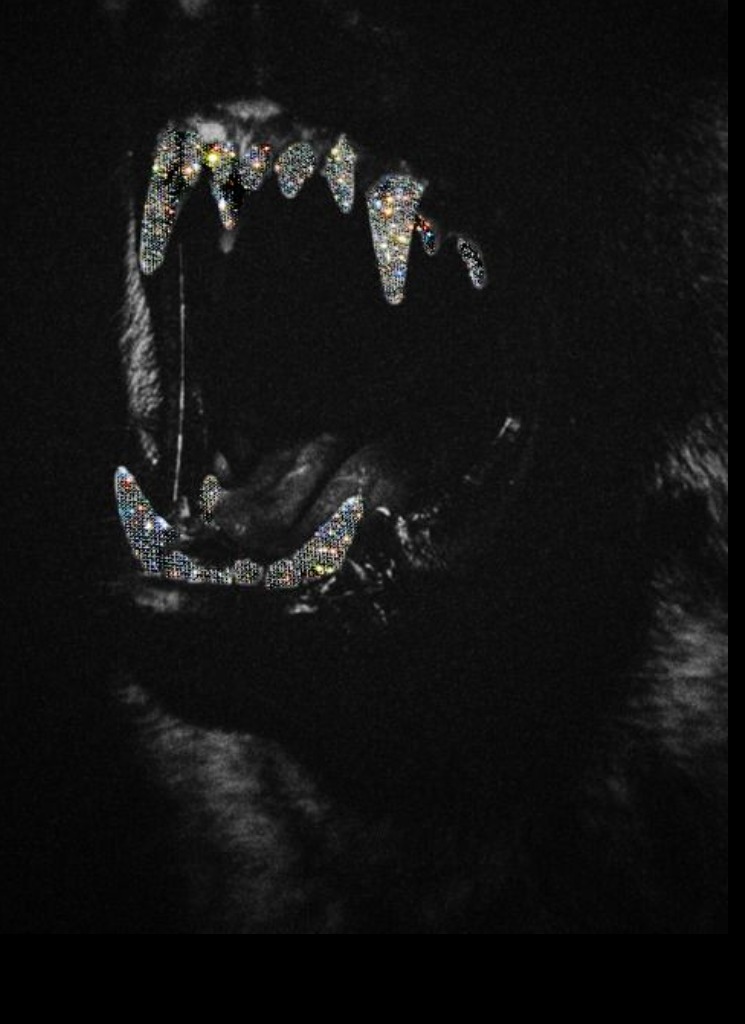 صورة الـavatar