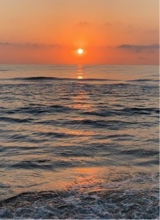 Guest_Amanda532526