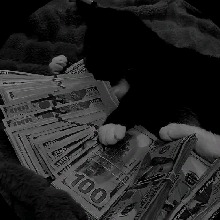 Guest_Minyyyyy