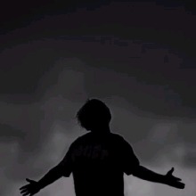llipy