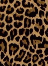 Theenya888