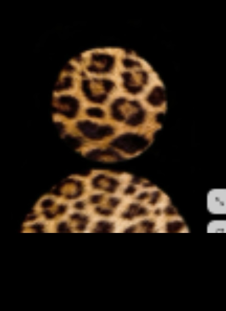 Guest_UShouldletmefreaku