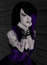 Guest_Mist417770