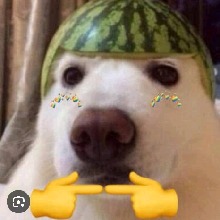 PatyAndradee