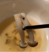 pickledtoes