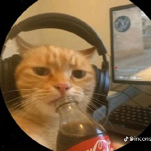 Lilvato24