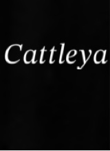 Guest_Cattleya15