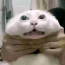 Guest_LeonGaming