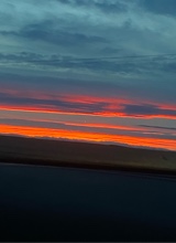 Guest_Allie341416
