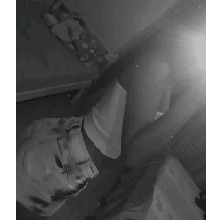 Guest_Vitria834647