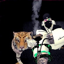 Guest_RenatoSousa