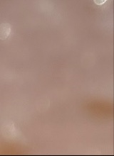 Guest_BEAN184185