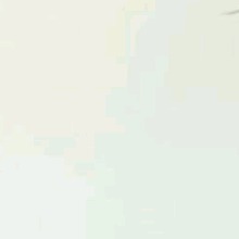 Guest_mj906688