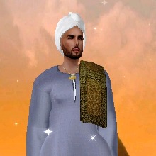 SirNOUR