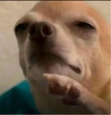 Eeyyuucckk