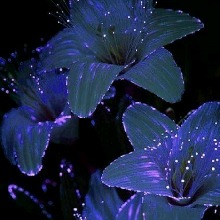 Guest_Prettynini6