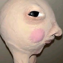 vsqsznn