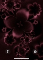 Guest_andrea545410
