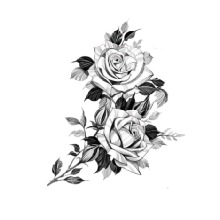 Guest_Maa243874