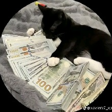 Guest_Duquesazxx