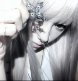 Guest_Maya43638