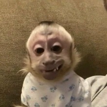 MaxContreras2