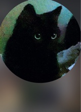 Guest_jaylonjimmerson7