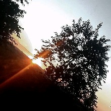 Guest_Luanny731870