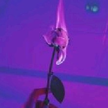 Guest_Rubi143933