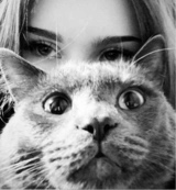 Guest_lauren188410