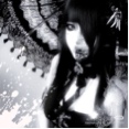 Guest_ana227028