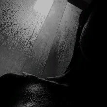 Guest_Anaah229