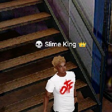 Guest_SlimeKing14