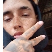 avpic
