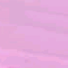 Guest_ANDREA389497