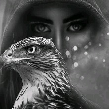Guest_Flyangel79