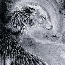 Guest_Flyangel79