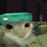 Guest_Edgar007