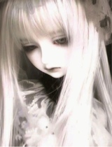 Guest_Lia366290
