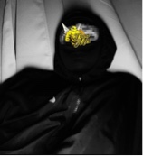 Guest_JV104694