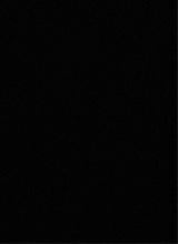 immagine avatar