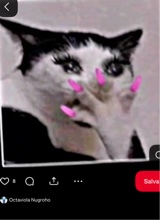 Guest_ketyy8