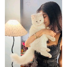Aayushi21