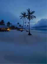 Guest_Tre393561