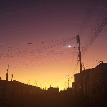 Guest_Tenten5679520