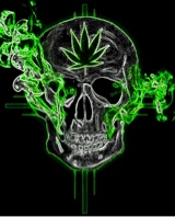 Guest_CarlosBedminister